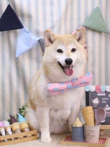 20250516梅子ちゃん